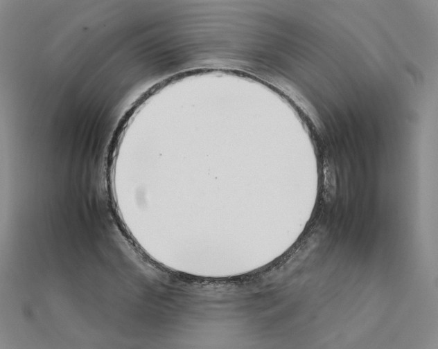 X0000111230972200908131119