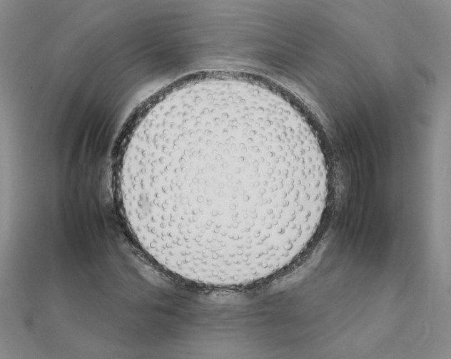 X0000111230974200908131119