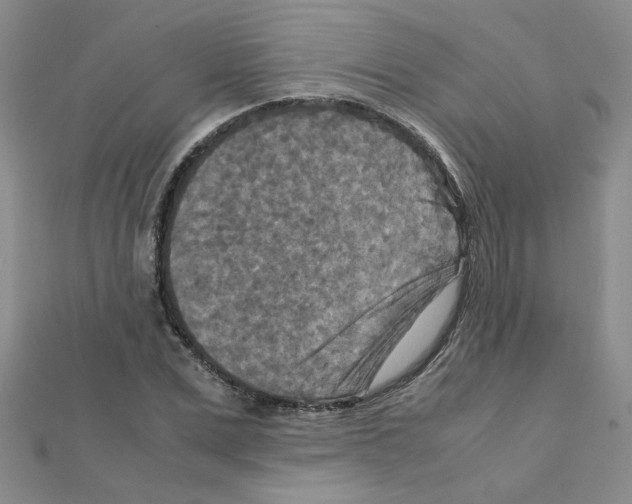 X0000111230975200908131119