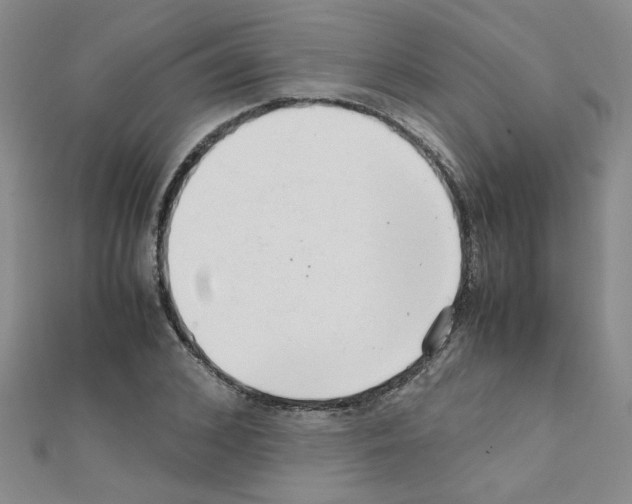 X0000111230976200908131119