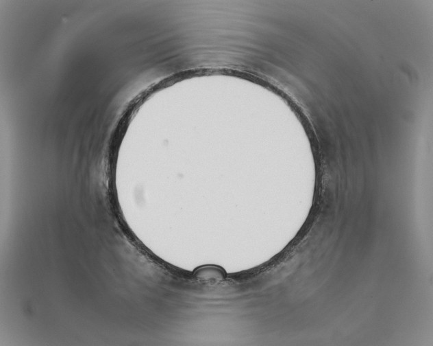 X0000111230979200908131119