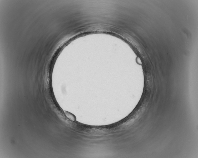 X0000111230981200908131119