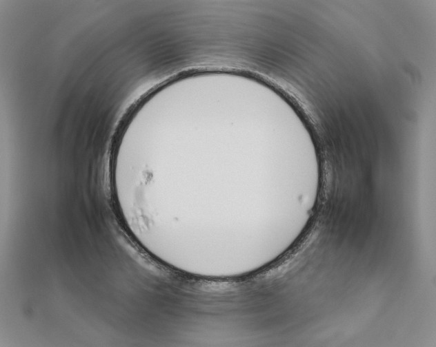 X0000111230982200908131119
