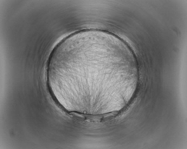 X0000111230983200908131119