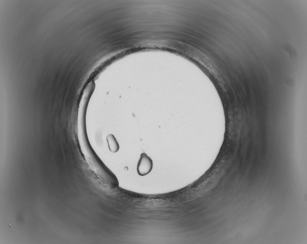 X0000111230984200908131119