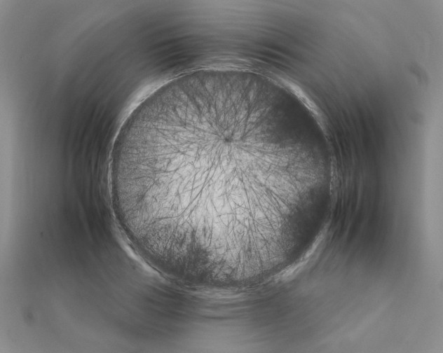 X0000111230986200908131119