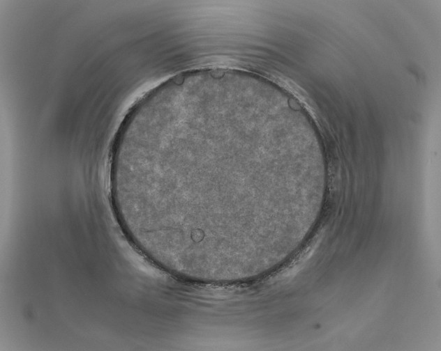 X0000111230987200908131119