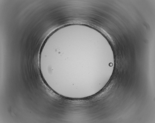 X0000111230988200908131119