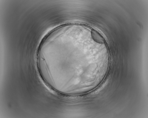 X0000111230989200908131119