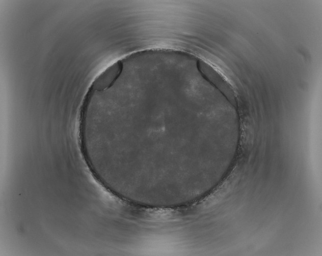 X0000111230991200908131119