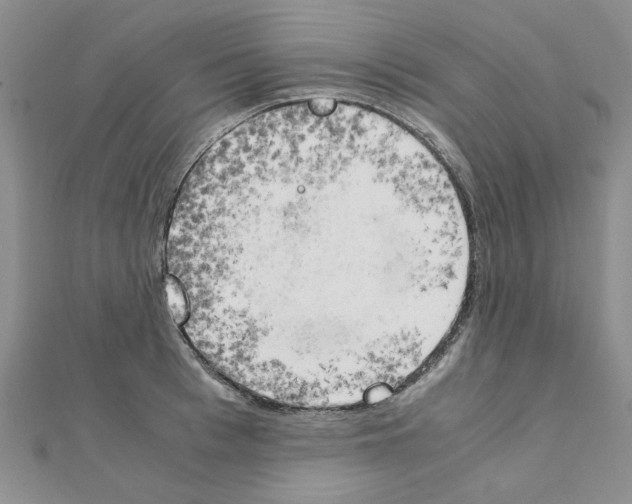 X0000111230993200908131119