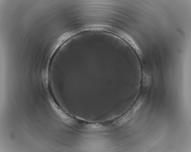 X0000111230994200908131119