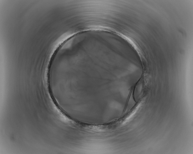 X0000111230995200908131119