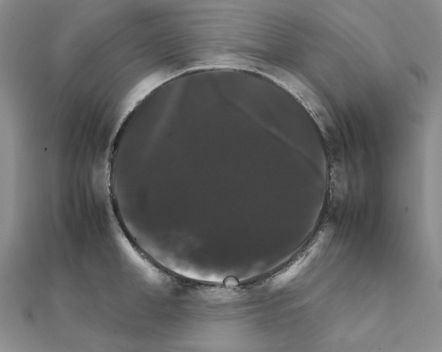 X0000111230998200908131119