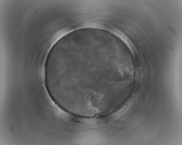 X0000111230999200908131119