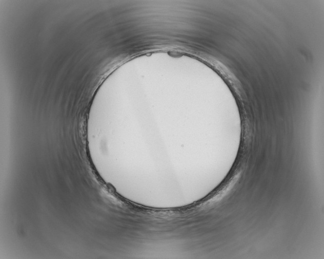 X0000111231001200908131119