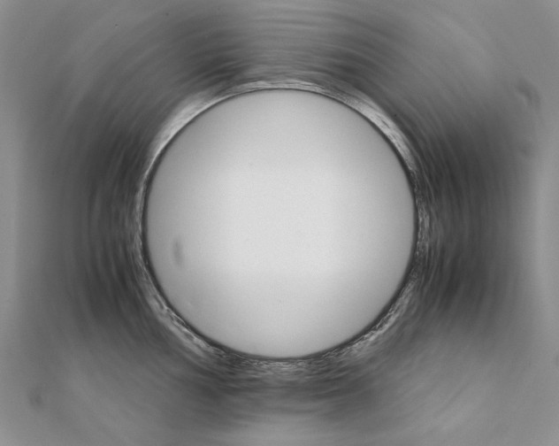 X0000111231002200908131119