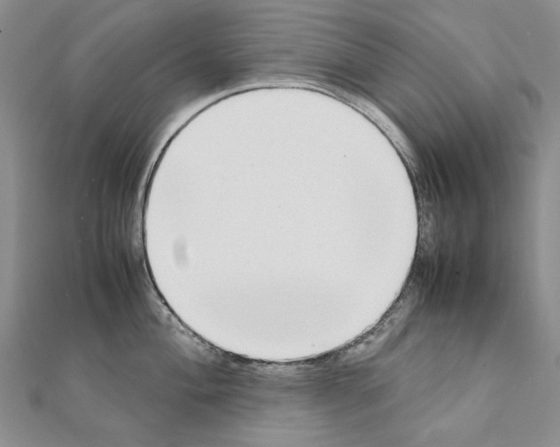 X0000111231004200908131119