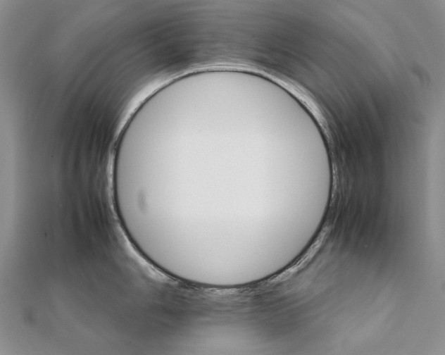 X0000111231006200908131119