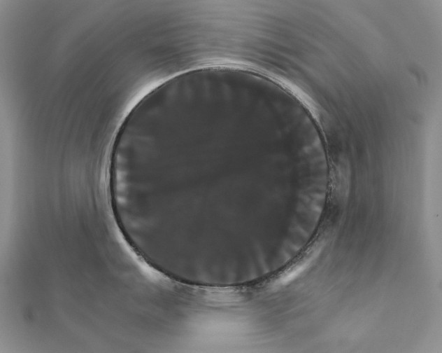 X0000111231007200908131119