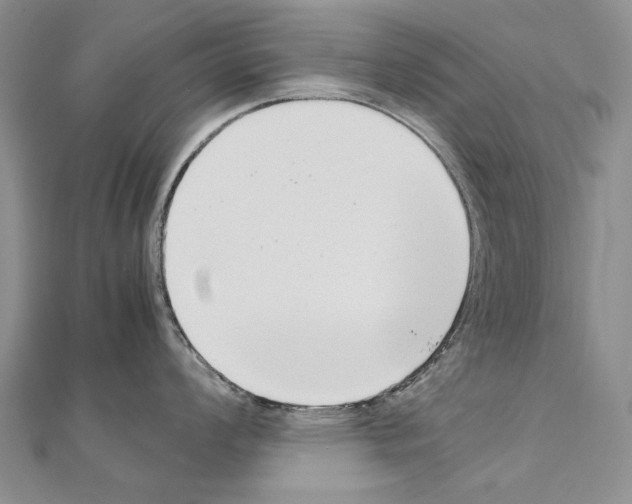 X0000111231008200908131119