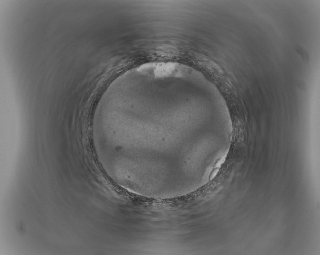 X0000111231009200908131118