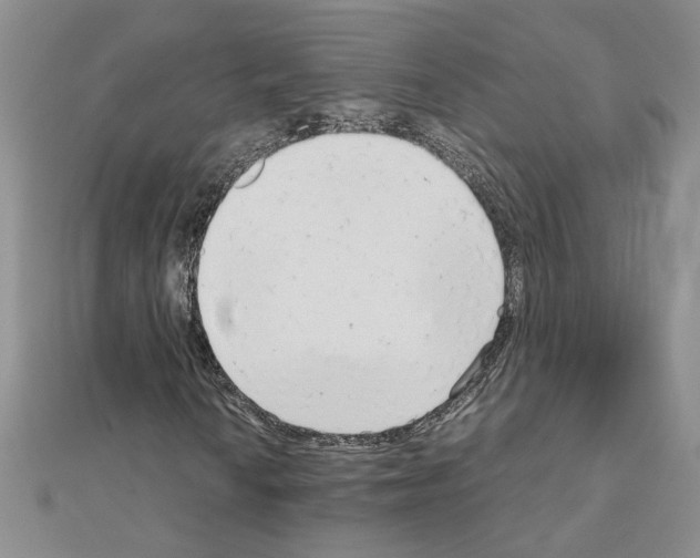 X0000111231010200908131118