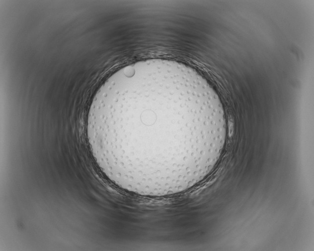 X0000111231011200908131118