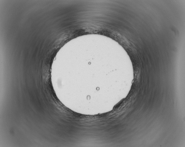 X0000111231012200908131118