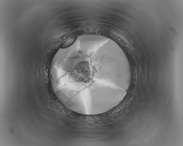 X0000111231013200908131118