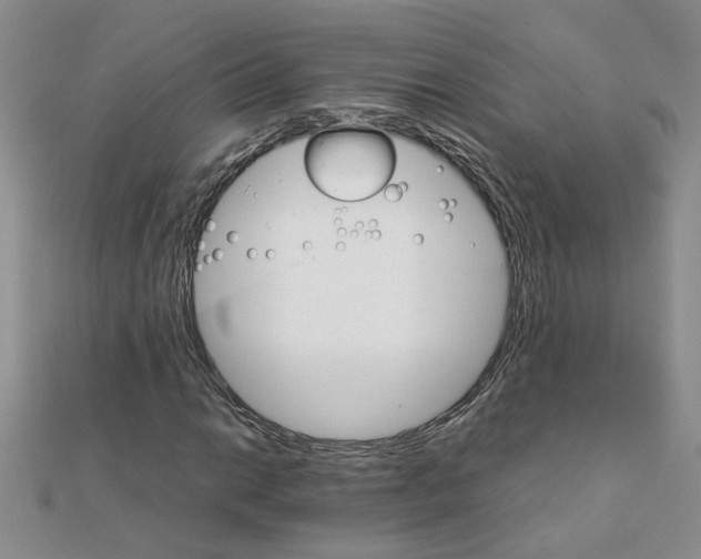 X0000111231014200908131118