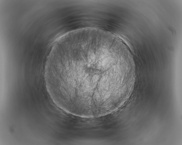 X0000111231015200908131118