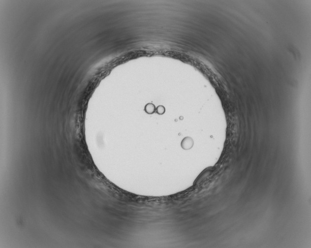 X0000111231016200908131118