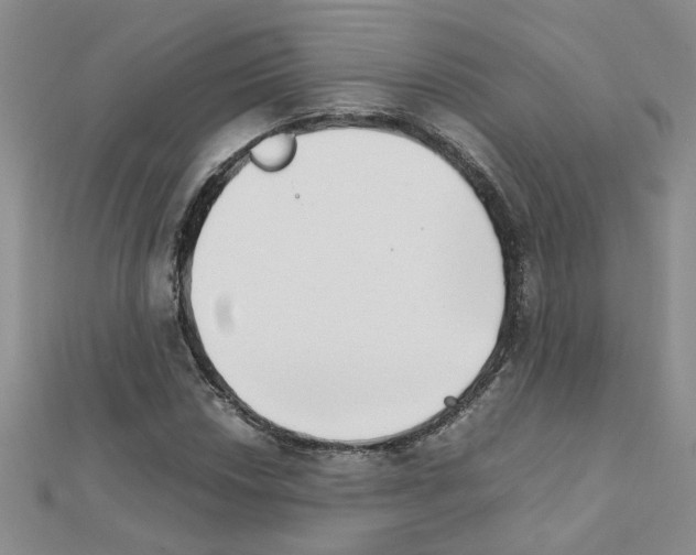 X0000111231018200908131118