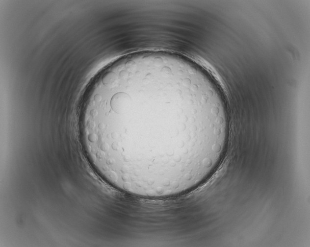 X0000111231019200908131118
