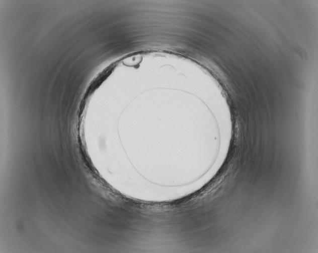 X0000111231020200908131118
