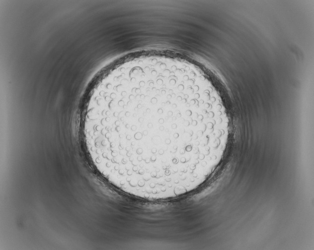 X0000111231021200908131118