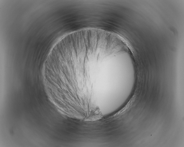 X0000111231023200908131118