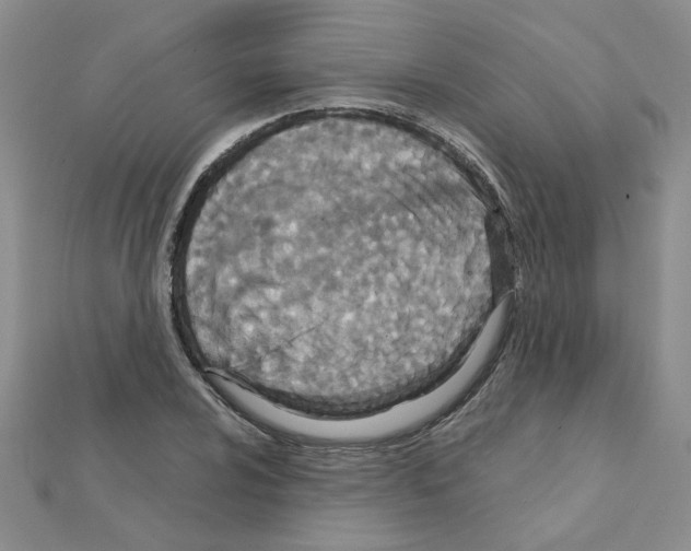 X0000111231024200908131118