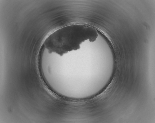 X0000111231026200908131118