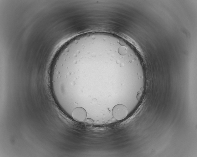 X0000111231027200908131118