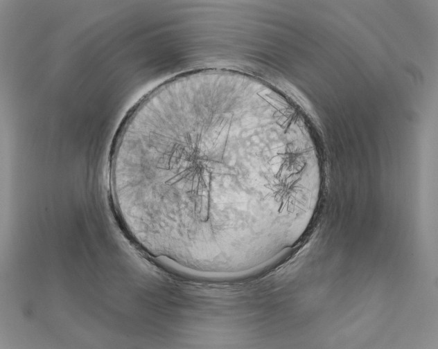 X0000111231028200908131118