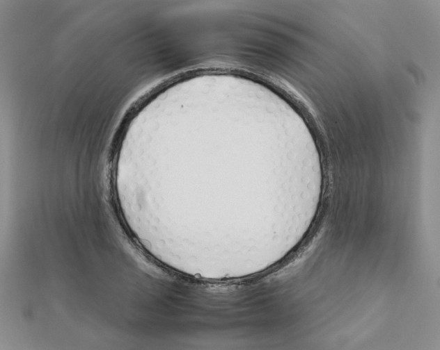 X0000111231029200908131118