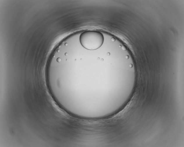 X0000111231030200908131118
