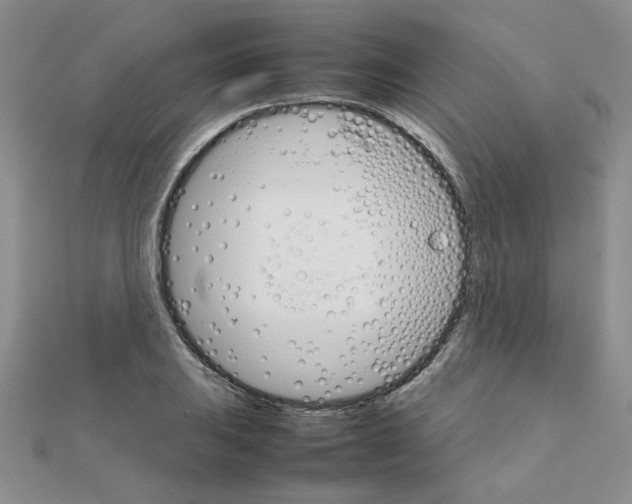 X0000111231031200908131118