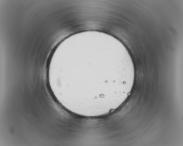 X0000111231034200908131118