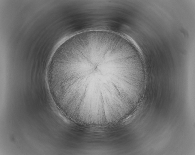 X0000111231035200908131118