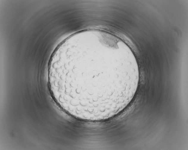 X0000111231036200908131118