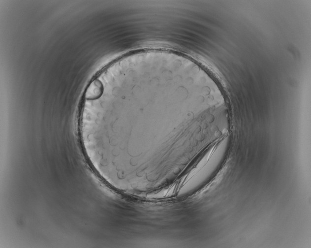 X0000111231037200908131118
