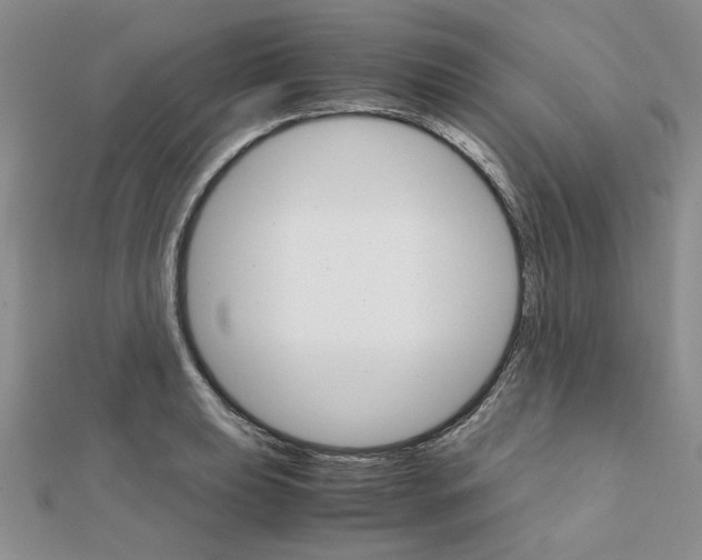 X0000111231039200908131118